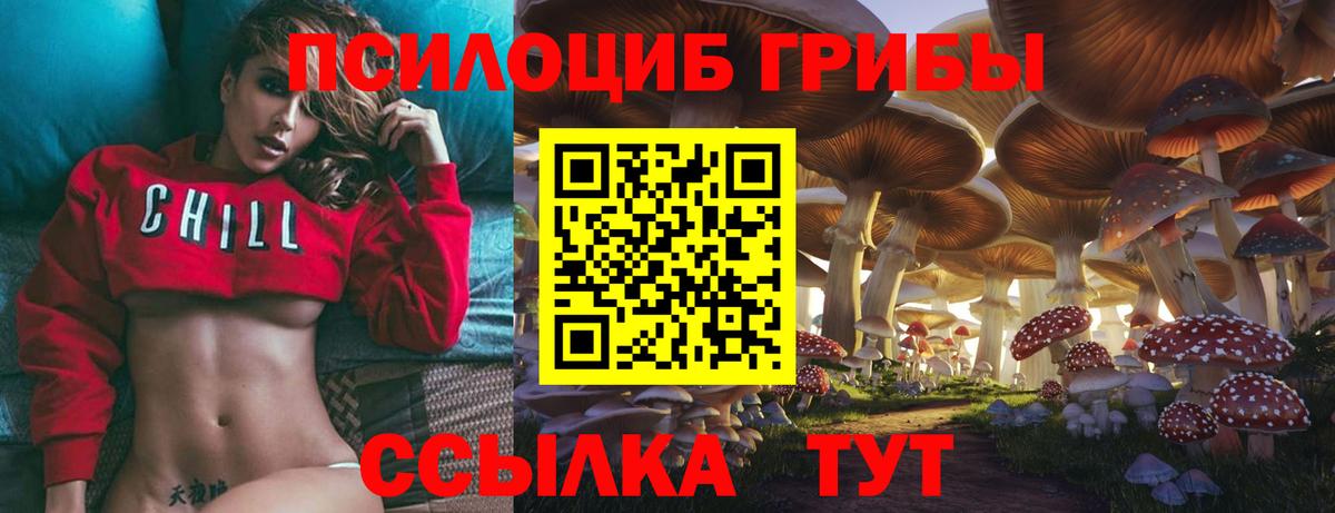 Псилоцибиновые грибы GOLDEN TEACHER  Псилоцибиновые грибы мухоморы  Грязи  Вход с VPN 